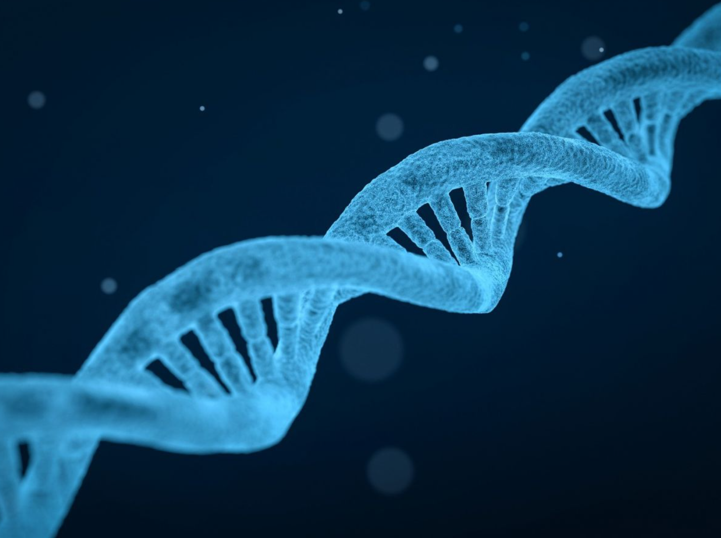 Genetische Diversität ist der Schlüssel für eine erfolgreiche Züchtung. (Bildquelle: © Arek Socha / Pixabay)