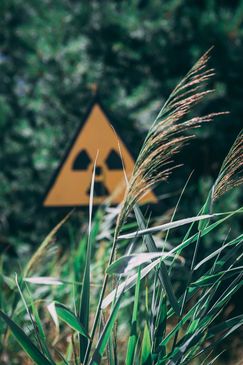 Chemikalien und radioaktive Strahlung erhöhen die natürliche Mutationsrate Bildquelle: © chriswanders, Pixabay
