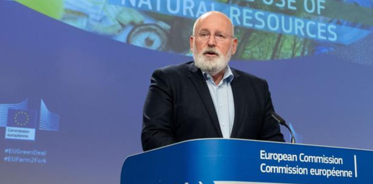Die EU-Kommission hat einen neuen Gesetzentwurf vorgelegt, der die Nutzung geneditierter Pflanzen vereinfachen soll. Damit soll auch die Züchtung von Pflanzen für eine nachhaltigere Landwirtschaft gestärkt werden.
